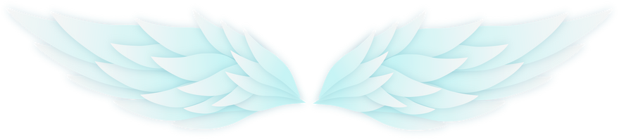 Wings Icon